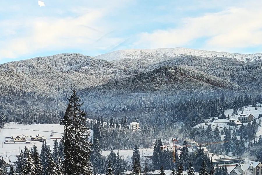 Carpathian mountains view
